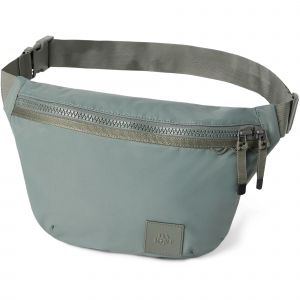 Dakine Sacoche banane Renovation Hip