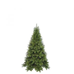 Triumph Tree Sapin de Noël Artificiel Tuscan - H120 x Ø81 cm - Vert