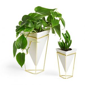 Umbra Trigg, Jardinière de Bureau & Pot Géométrique – Idéal pour des Plantes Succulentes, des Plantes Aériennes, des Mini Cactus, des Fausses Plantes et Autres, Céramique Blanche/Laiton (Lot de 2)