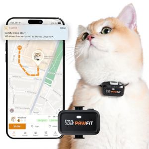 Pawfit Lite - Traceur GPS 4G pour chat - Suivi en temps r&eacute;el - Surveillance des activit&eacute;s - Historique - Port&eacute;e illimit&eacute;e - Collier clic