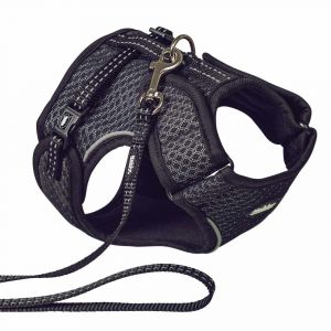 Harnais et laisse pour chat Nobby Pet Flap