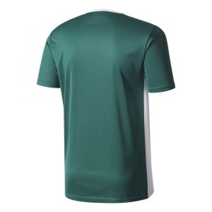 Adidas Entrada 18 S/s - Collegiate Green / White - Taille XL