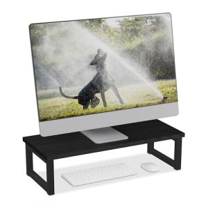 Relaxdays Support pour Moniteur, rehausseur pour Ordinateur sur Le Bureau, Design Moderne, 15 x 55 x 23 cm, Noir