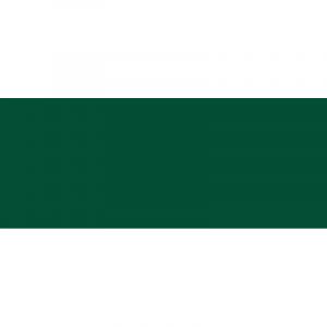 Staedtler Triplus FineLiner 334 - Feutre Pointe SuperFine 0,3 mm Vert Sapin