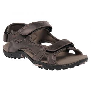 Image de Regatta Haris Open Toe Sandals Men, Brown (Peat 6v3), 7 UK (41 EU)