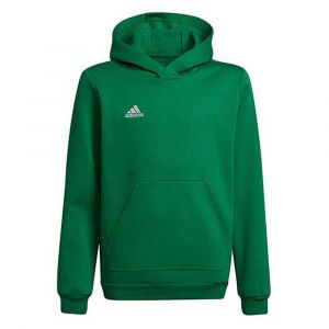 Adidas Sweat à Capuche Entrada 22 116 cm Team Green / White