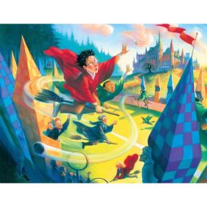 Image de Puzzle 1000 piÃ¨ces : Harry Potter : Quidditch