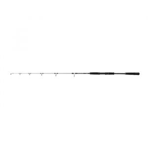 Mitchell Tanager SW Jig Rod | Canne &agrave; p&ecirc;che &agrave; la turlutte en Eau sal&eacute;e | L&eacute;g&egrave;re | Id&eacute;ale pour Le Bar, Le cabillaud, la goberge | D&eacute;butant et exp&eacute;riment&eacute; |Unisexe, Argent/Noir, 1.6m | 100-250g