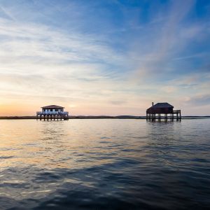 Ceanothe Toile 30X30maison Piloti Bas