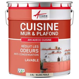 Arcane industries Peinture cuisine, lessivable, absorbe les odeurs - 2.5 l Blanc Perlé - ral 1013