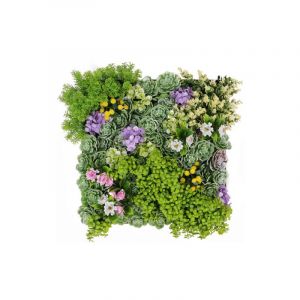 James Grass - Cadre mural plante artificielle succulentes carré