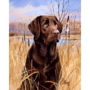 Peinture au numéro : Chien labrador - toile tendue sur châssis
