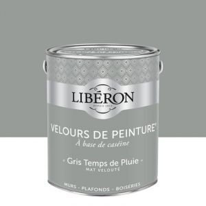 Liberon Peinture gris temps de pluie mur, boiserie, radiateur velours 2.5 l