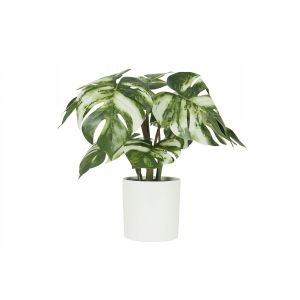 Ligne Deco Monstera artificiel variegata toucher naturel 35cm