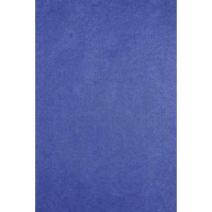 Image de Clairefontaine 393713C - Sachet de 8 feuilles pliées de papier de soie, 18 g/m², 50 x 75cm, coloris bleu France