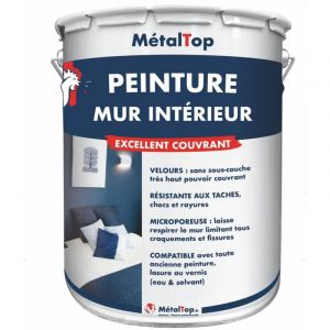 Peinture Mur Interieur - Blanc gris - RAL 9002 - Pot 1L