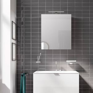 Emco ASIS MEE Armoire Miroir LED en Aluminium 1 Porte Montage en saillie 600 mm