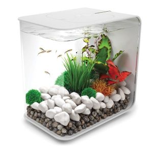 Biorb Flow 15 L - Aquarium