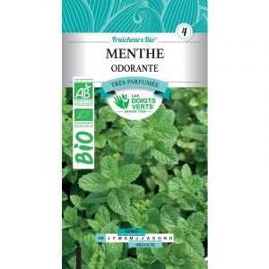 Les doigts verts Menthe Odorante Bio