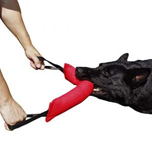 Dingo Gear K9 IGP & Fun Jouet à mâcher pour Chien en nylcot avec 2 poignées Rouge 45 x 8 cm