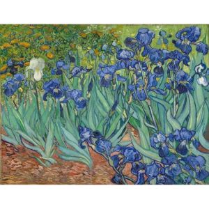 Figured'Art Peinture par Num&eacute;ro Adulte Van Gogh Iris - Activit&eacute; Manuelle Kit de Loisir Cr&eacute;atif DIY Num&eacute;ro d'Art Complet - 40x50cm sans ch&acirc;ssis en bois