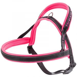 Ferplast SPORT DOG P Harnais pour chiens avec rembourrage soft. Diff&eacute;rentes mesures et couleurs fluo.. Variante MEDIUM - Mesures: A: 58 cm - B: 69&divide;86 cm - Fuchsia
