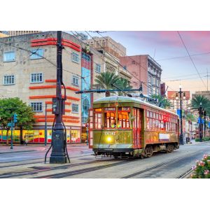 Bluebird Puzzle Tramway, New Orleans, USA