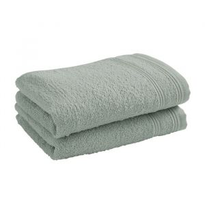 Univers décor Lot de 2 serviettes invité éponge "Spa" 30 x 50 cm - 400 gr-m² - "Spa" Céladon