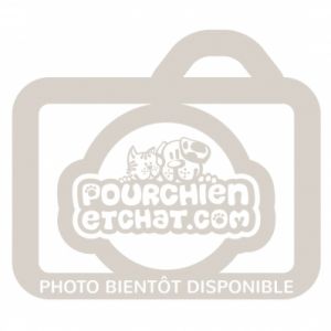 Staywell Panneau de rechange de chatière Small 600
