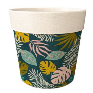 Cadoons Cac Pot de Fleurs en Bambou Motif Bambou Dimensions : Hauteur 8 5 cm Diam&egrave;tre 9 5 cm