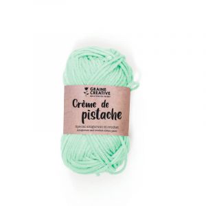 Graine Créative Fil De Coton Amigurumi Vert Clair Crème De Pistache