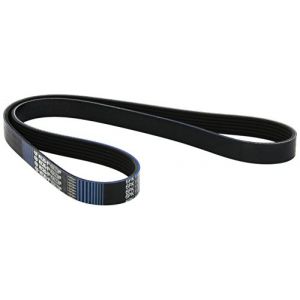 Gates Courroie d'accessoires 6PK1123