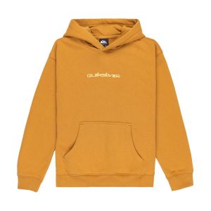Quiksilver Salt Water Graphic Kids Sweat à capuche marron