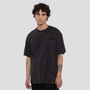 Dickies Plentywood Dble Dye/Acd Black - T-Shirt - noir - M - 100% Coton,Jersey