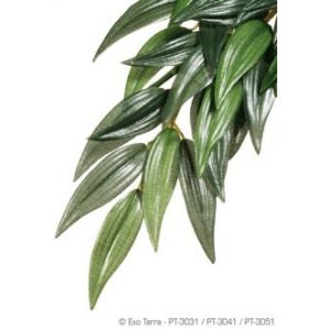 Image de Exo terra Plante Ruscus Medium 40 cm