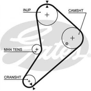 Image de Gates Courroie de distribution 5021