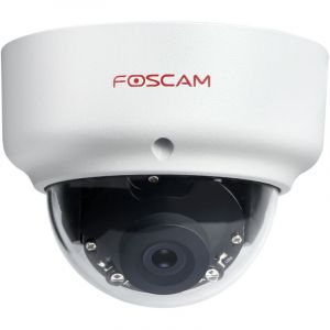Foscam Caméra IP extérieure D2EP