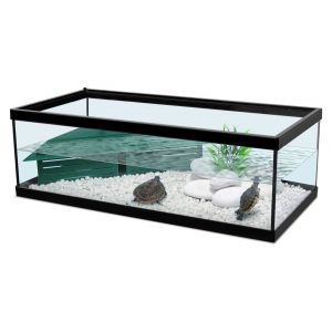 Zolux Aquarium Tortum noir pour tortue avec filtre