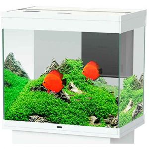 Ciano Aquarium Emotions Pro Aquariums Blanc 60