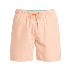 Quiksilver Short de bain homme spl fineline 15