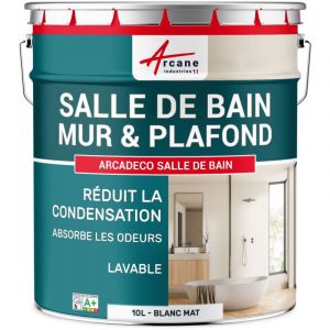 Arcane industries Peinture salle de bain, mur et plafond, condensation - 10 l Blanc