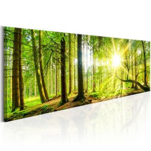 Image de Artgeist Tableau - Majestic Trees 135x45