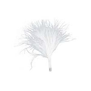 Image de Discount Mariage 20 Plumes Blanches