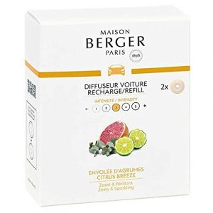Maison Berger Paris Recharges Diffuseur Voiture - Parfum Envolée d'Agrumes