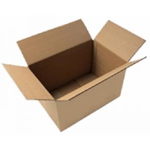 10 cartons (caisses américaines ) 250 x 180 x 140 mm