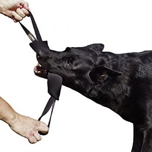 Dingo Gear K9 IGP & Fun Jouet à mâcher en nylcot avec 2 poignées Noir 28 x 7 cm
