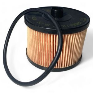 Filtre à Gasoil Diesel Peugeot Citroen Ford Fiat 2.0 HDI TDCI JTD - N1723 C489