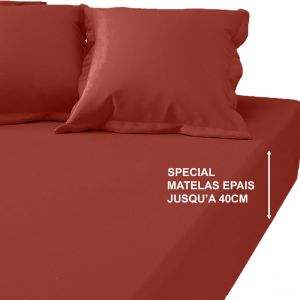 Drap-housse grand bonnet XL polycoton Tertio - Terracotta