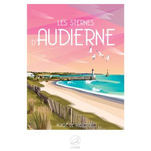 Les sternes d'AUDIERNE Plage de trescadec