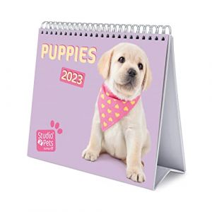 Image de Grupo erik Calendrier de Bureau 2023 Chiens - 12 Mois | 20 x 18 cm, Calendrier Mensuel en Français, Janvier 2023 à Décembre 2023 | Certifié FSC, avec Support Rigide, CS23013